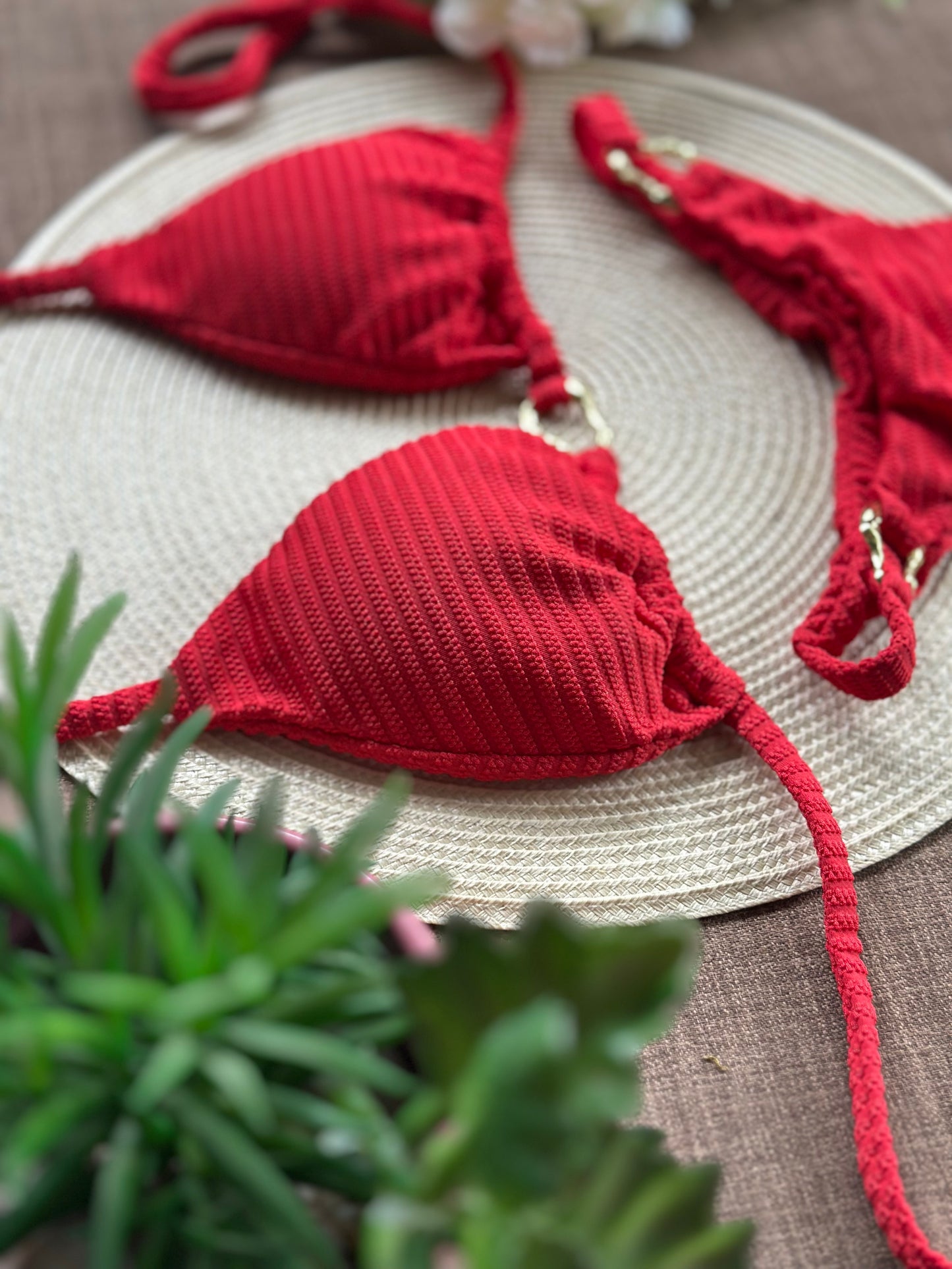 Bikini Rojo Pasion